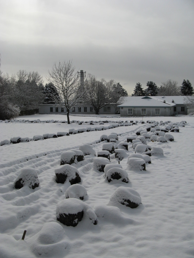 Preparing land for the Market Garden at GPC in March 2009