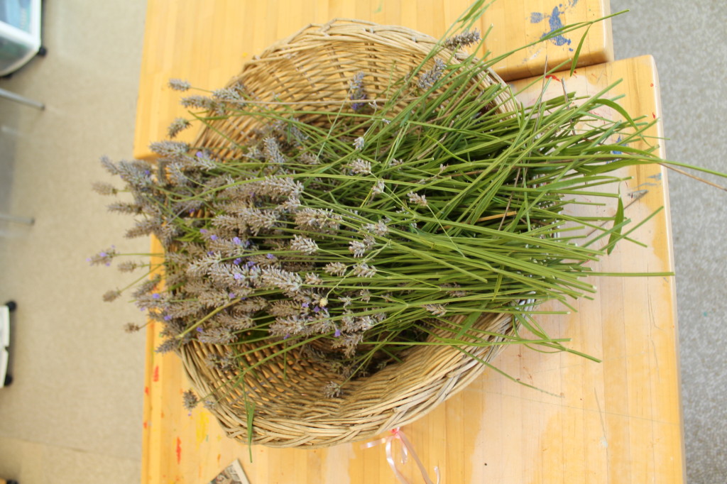This image depicts a basket of lavender