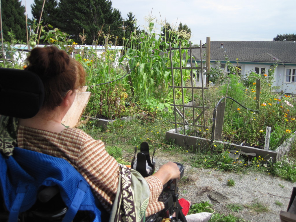 This image depicts a residents reading in the garden